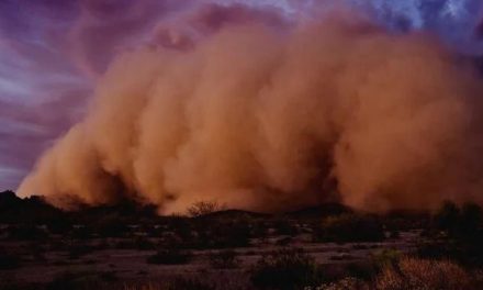 Polvo del Sahara llega a México en las próximas horas