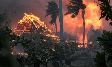 Fallecen dos mexicanos por incendios en Hawái: SRE