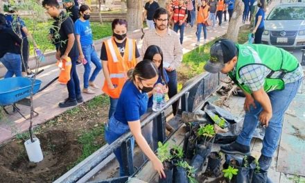 Suman a empresas y ciudadanos al programa ‘Planta y cuida’ en Torreón