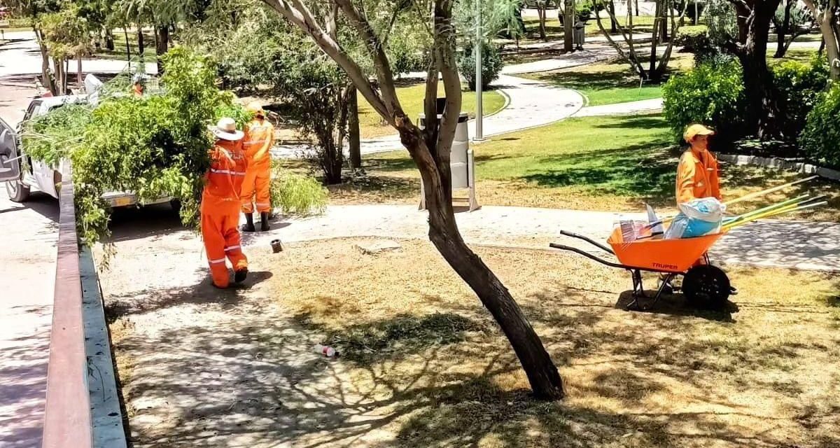 Dan mantenimiento constante al Bosque Urbano de Torreón