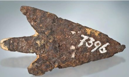 Descubren que una punta de flecha prehistórica fue hecha con metal extraterrestre