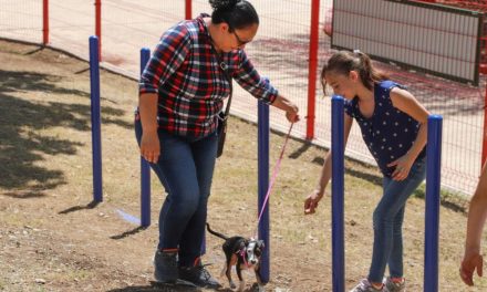 Aplaude ciudadanía edificación del Parque Perrón en Saltillo