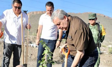 Reforestan Saltillo para una Ciudad Verde