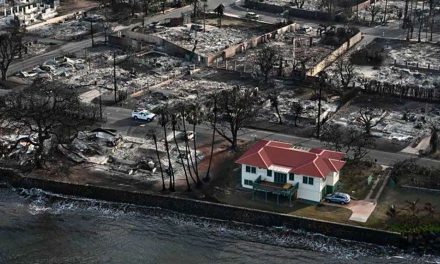 Impresionante: Una casa quedó intacta en medio de los devastadores incendios en Hawái