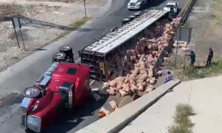 Vuelca camión cargado de cebollas en la Saltillo-Monterrey