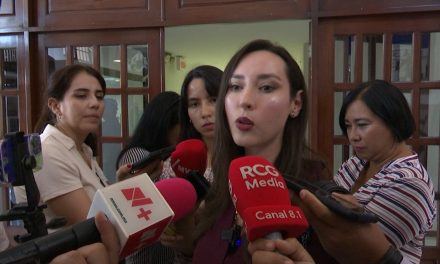 Piden dar celeridad a reformas sobre violencia vicaria en el Congreso del Estado