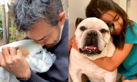 Familia Derbez está de luto tras la muere su perrita Fiona