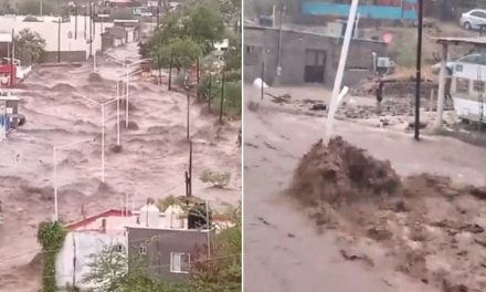 Así tocó la fuerza de ‘Hilary’ a Baja California Sur (videos)