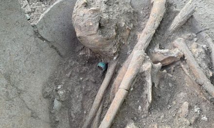 Descubren osamenta y anillo de jade de 1,200 años en obras del Tren Maya