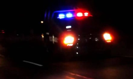 Caballo ocasiona accidente en la carretera General Cepeda-Parras