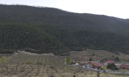 Prohibido acampar en la Sierra de Arteaga con la finalidad de evitar incendios forestales