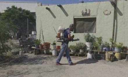 Continúan acciones para combatir la rickettsia en Ramos Arizpe