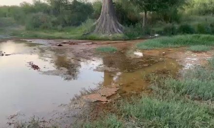 Contamina ‘El pinabete’ al Río Sabinas