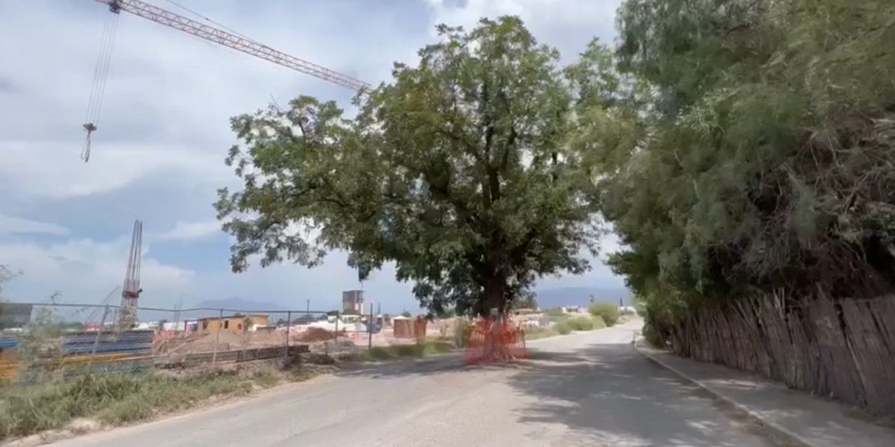 Están autorizadas dos salidas en calle Sauce