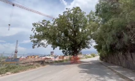 Están autorizadas dos salidas en calle Sauce
