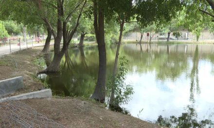 Club Salvadores de las aves, limpian el lago de la ciudad deportiva