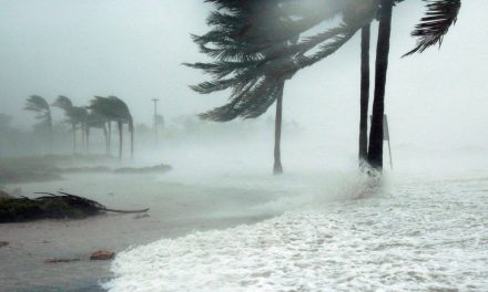 Primero fue ‘Hilary’ y ahora la tormenta Tropical ‘Harold’ impactará territorio mexicano