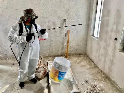 Sin casos de rickettsia en la Carbonífera