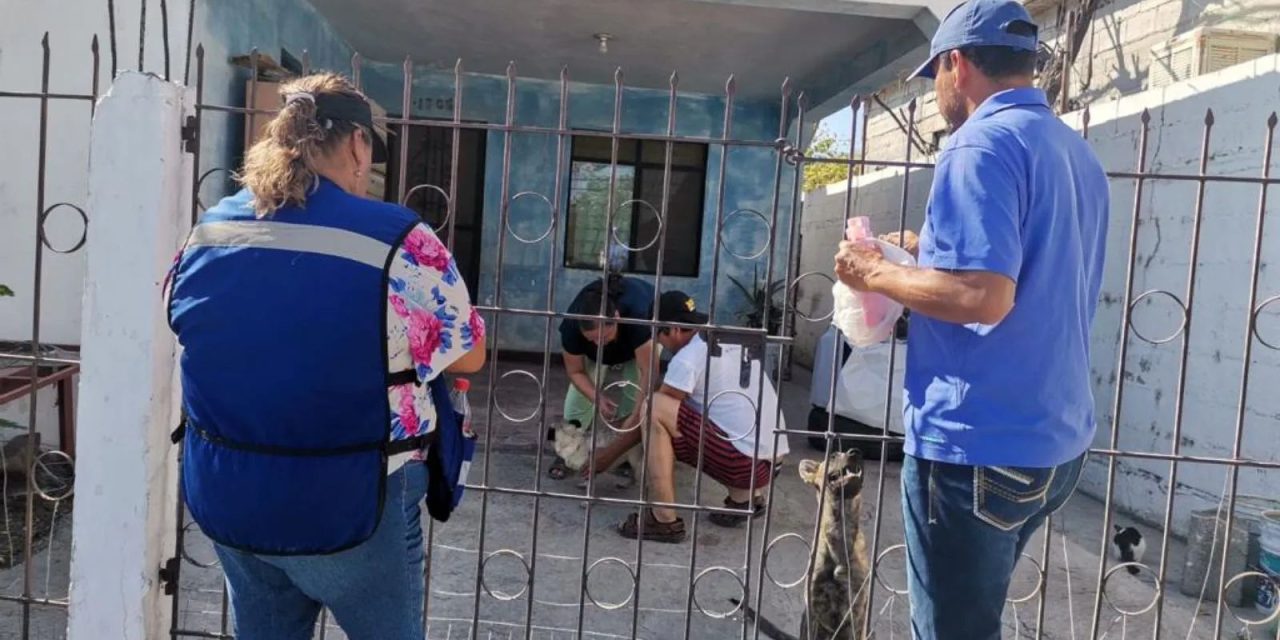 Muere una persona por rickettsia en Monclova