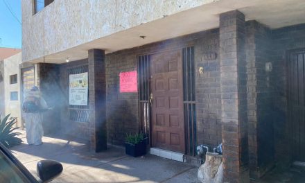 Mantienen acciones de fumigación contra mosquitos y parásitos en Torreón