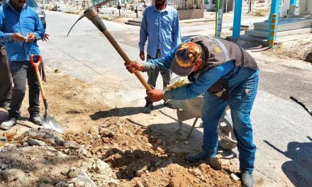 Realizan mantenimiento a panteones de Torreón