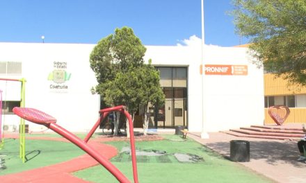 Preparan una última entrega de adopciones en Coahuila