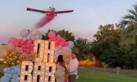 Video: Avión se desploma mientras hacía un ‘Gender Reveal’ en Sinaloa