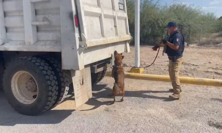 Detienen a seis en Matamoros por posesión de droga