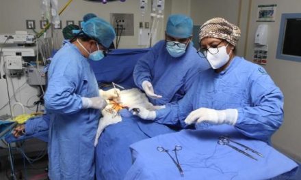 IMSS suma 2 mil 354 trasplantes y mil 161 donaciones de órganos durante el 2023