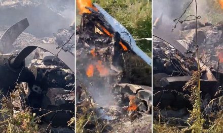 Video: Colisionan dos avionetas en Durango