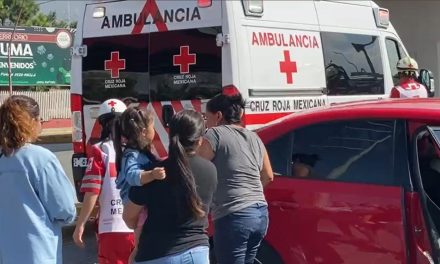 Saltillo: Falta de cultura vial la hace protagonizar accidente