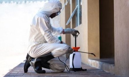 Se han fumigado más de cinco mil colonias en la región Sureste de Coahuila
