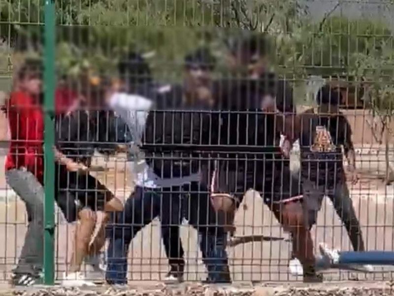 Estudiantes del CBTIS 40 en Sonora apuñalan y golpean a compañero