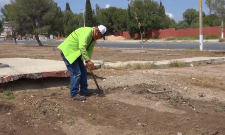 Dan mantenimiento a Paseo de la Reforma en Saltillo