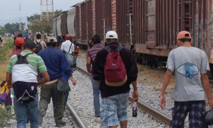Ordenan ‘redadas’ en vagones del ferrocarril ante el ingreso de miles de migrantes a México