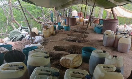 Cárteles mexicanos adaptan sus estrategias en el mercado de la cocaína ante cambios globales