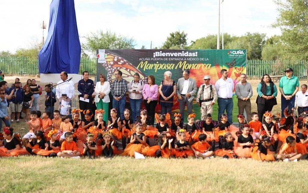 Esperan la llegada de mariposas monarca a Acuña