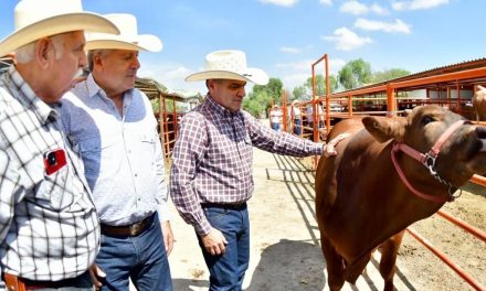 Consigue Coahuila acreditación para exportar ganado