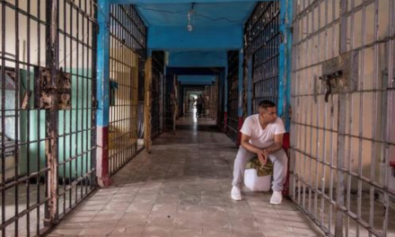 Hay una crisis de impunidad en México: Justicia Penal en la cuerda floja