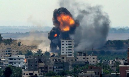 Más de 600 israelíes y 313 palestinos han muerto en los enfrentamientos