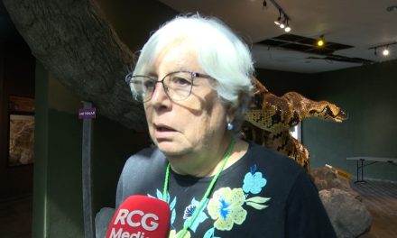 Secretaría del Medio Ambiente emite Manual de convivencia con osos