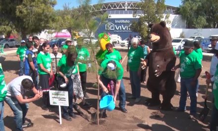 Cumple meta Gobierno de Saltillo en programa de Reforestación