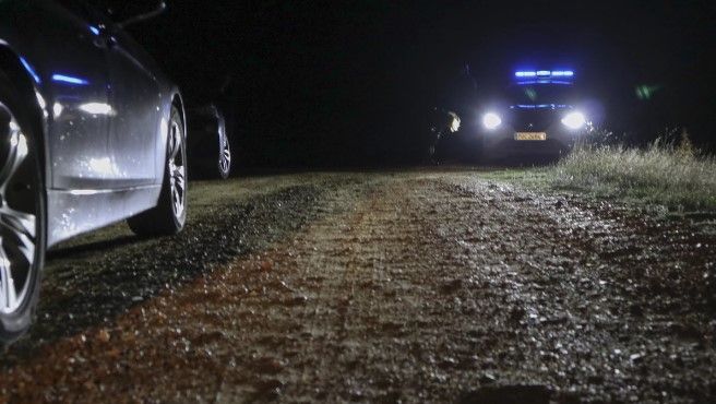 Joven es atacada por una jauría de perros en España y no sobrevive
