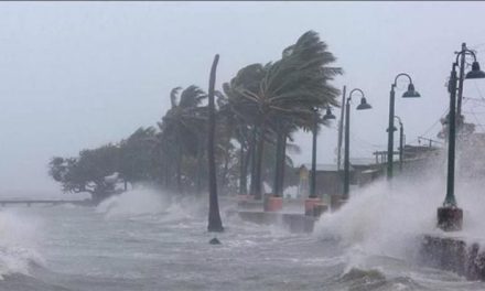 Se forma la tormenta tropical Lidia en el Pacífico al sur de Michoacán y Colima