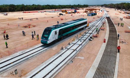 Por construcción del Tren maya han derribado más de 10 millones de árboles