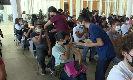 Llegan 8 mil vacunas contra la influenza para la Jurisdicción Sanitaria Número 8 de Saltillo