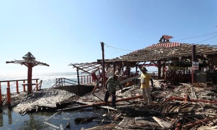 Fiebre Amarilla, Cólera y Dengue amenazan a Acapulco tras paso de Otis