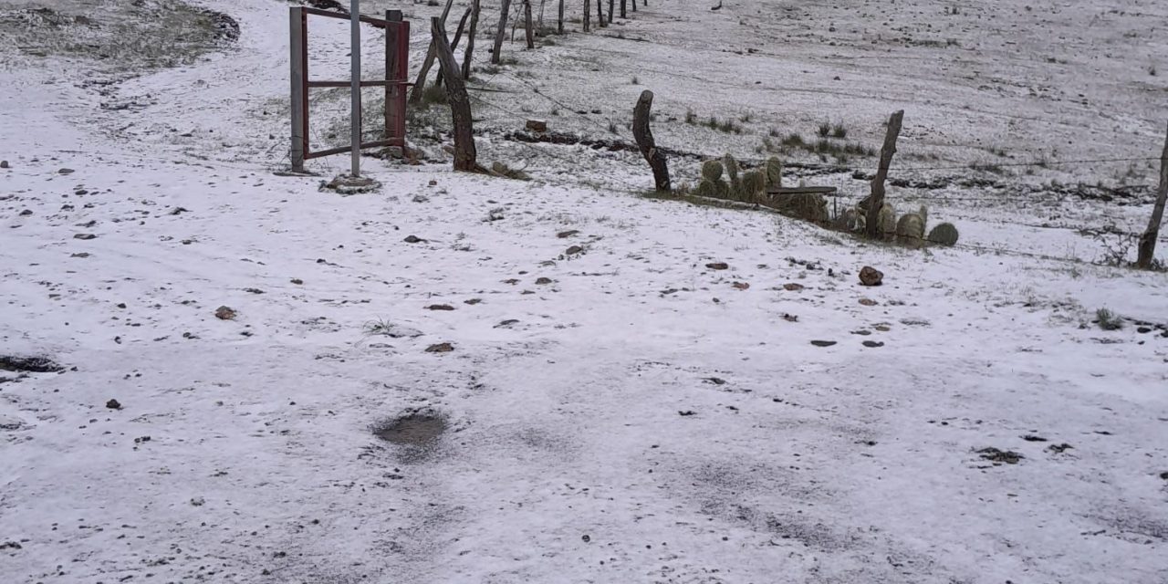 ¿Llegará a Saltillo?… en Galeana, Nuevo León reportan caída de aguanieve