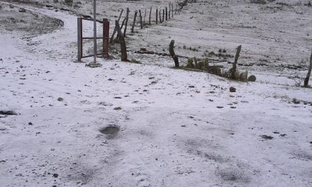 ¿Llegará a Saltillo?… en Galeana, Nuevo León reportan caída de aguanieve