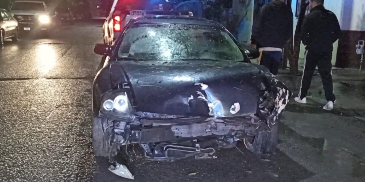 Ebrio irreponsable derriba un árbol en Saltillo